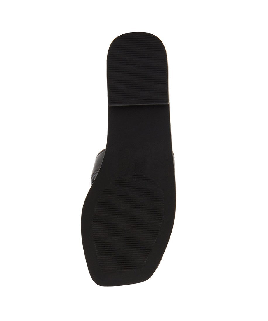 HAILEYY BLACK PARIS